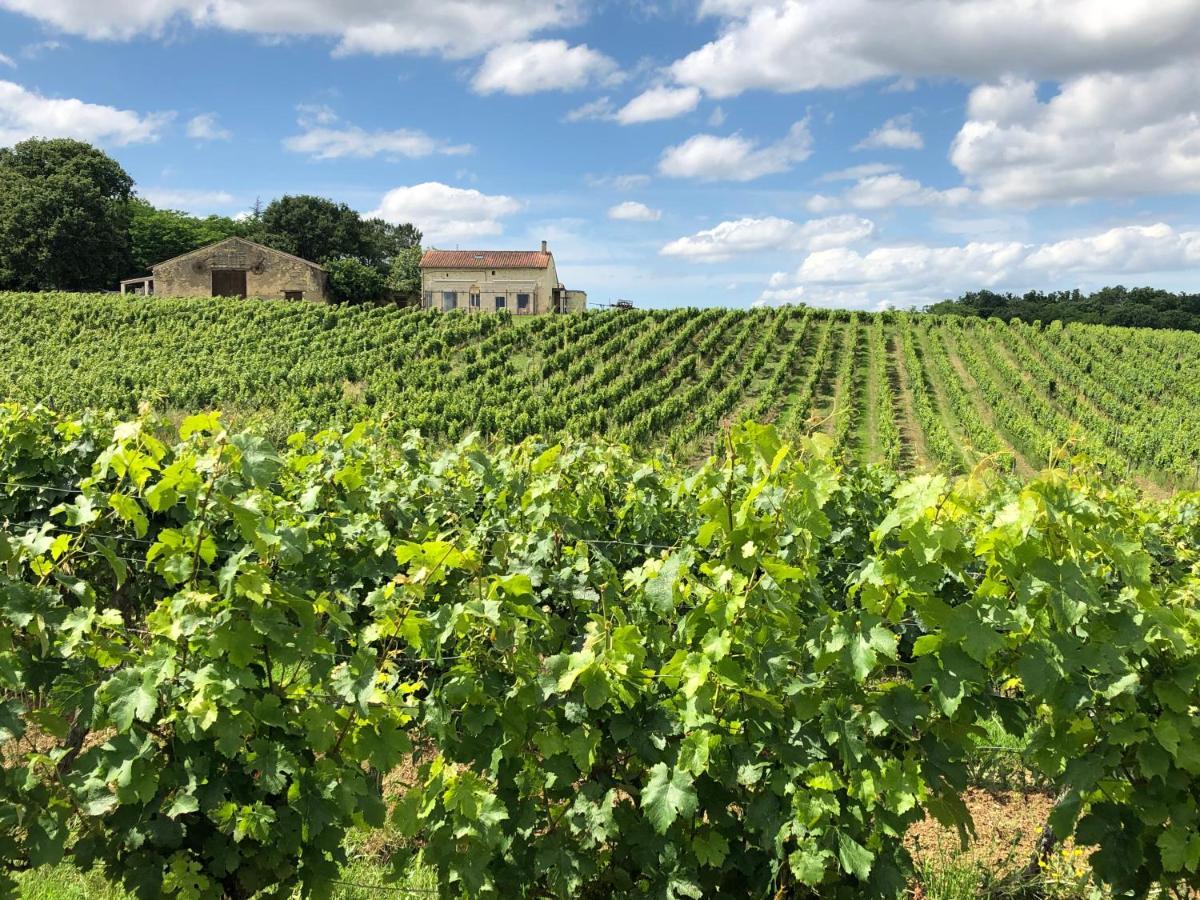 Chateau Le Truch Montussan Exterior foto